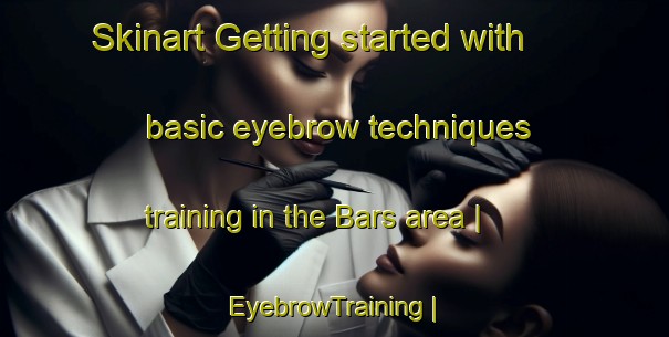 Skinart Getting started with basic eyebrow techniques training in the Bars area | EyebrowTraining | EyebrowClasses | SkinartTraining-France